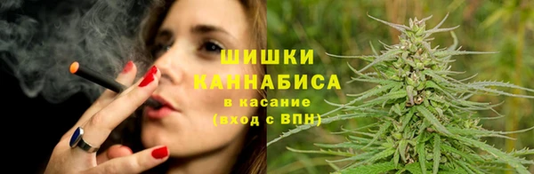 гашик Алзамай