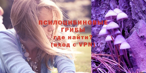 эйфоретик Алексин
