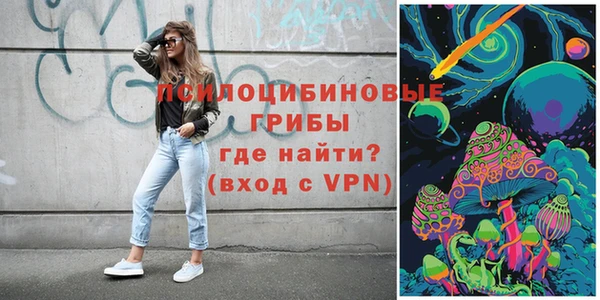 гашик Алзамай