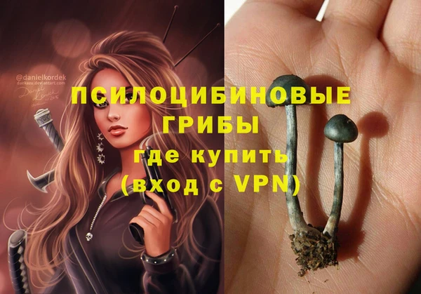амфетамин Алексеевка