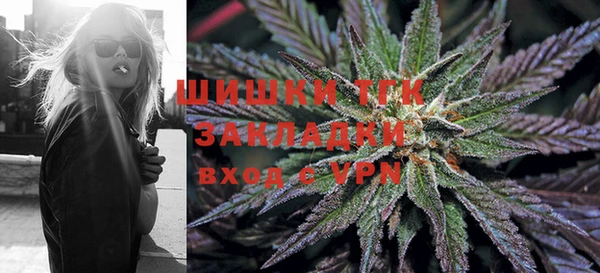 гашик Алзамай