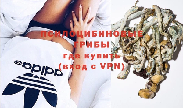 гашик Алзамай