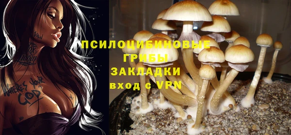 эйфоретик Алексин
