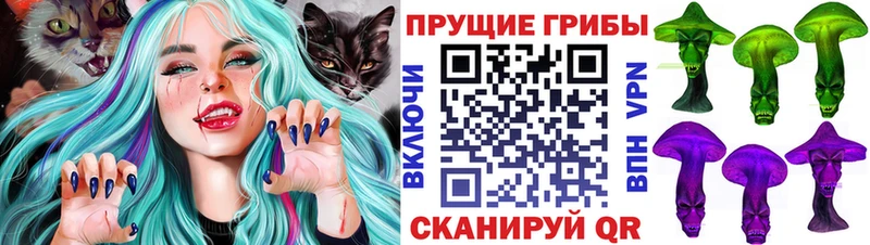 Галлюциногенные грибы мицелий Норильск